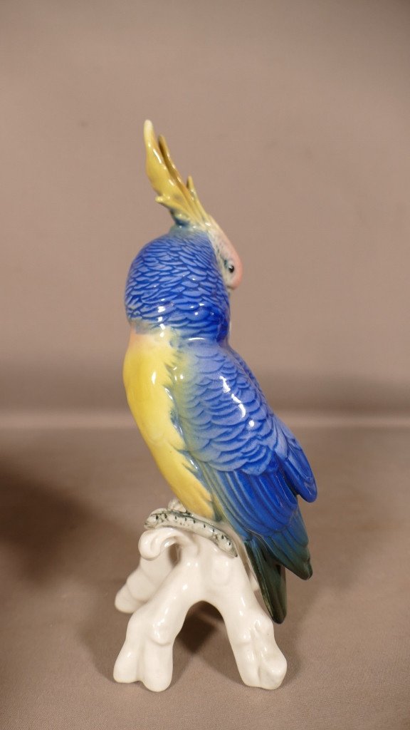 Karl Ens, Porcelain Parrot, Bird Animal Statuette, 20th Century-photo-4