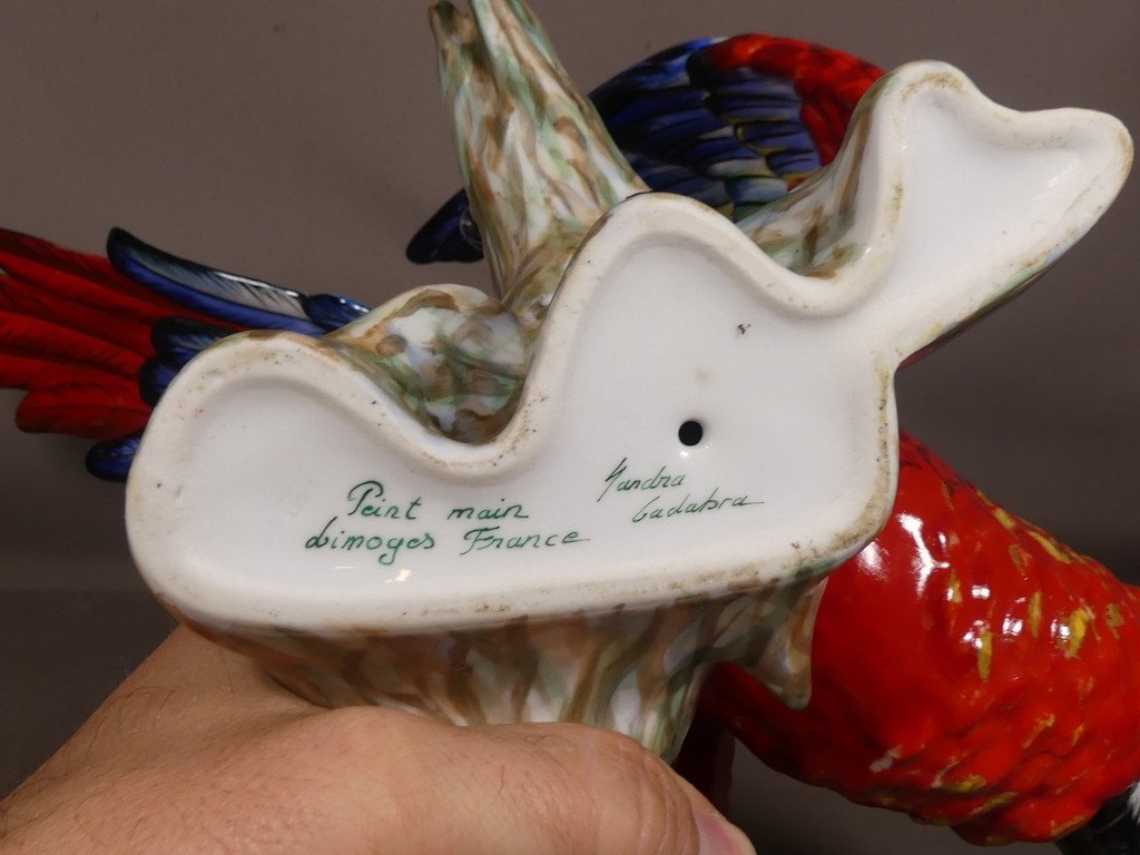 Large Life Size Macaw Parrot In Hand Painted Porcelain Limoges Period Late 20th Century-photo-7