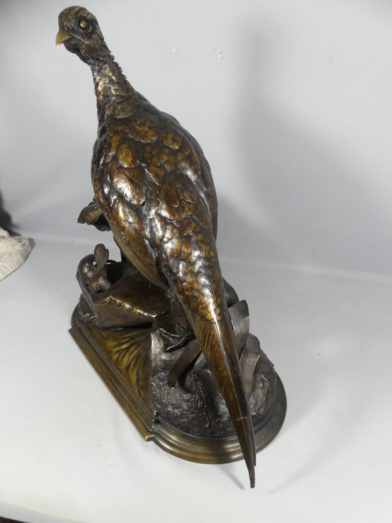 Jules Moigniez, Grand Bronze Animalier La Poule Faisane, Faisan, XIX ème-photo-5