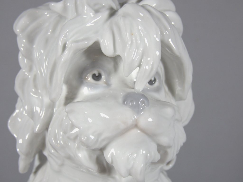Chien Bichon frisé, statuette en porcelaine allemande Gebrüder Heubach marque bleue 1882-1915-photo-3
