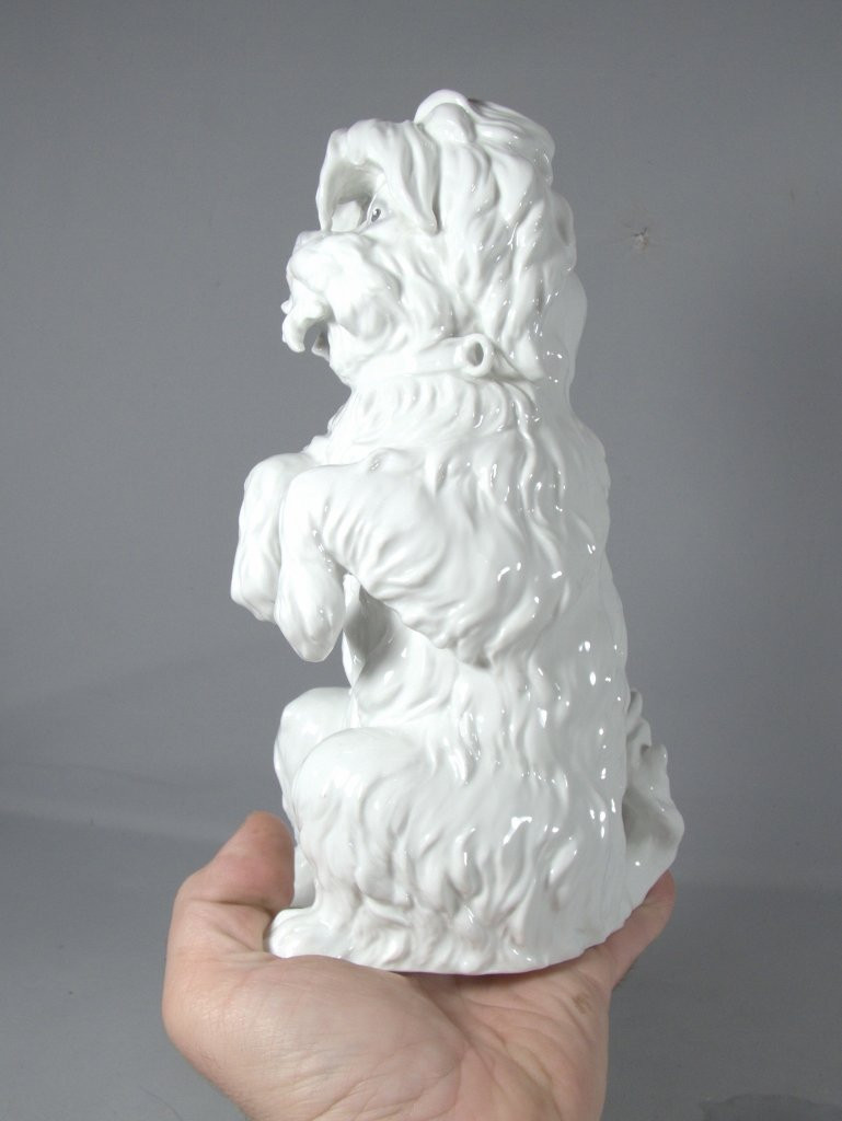 Chien Bichon frisé, statuette en porcelaine allemande Gebrüder Heubach marque bleue 1882-1915-photo-1