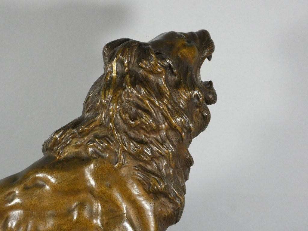 Roaring Lion, Animal Sculpture In Bronze And Pyrenees Marble, By James Andrey-photo-5
