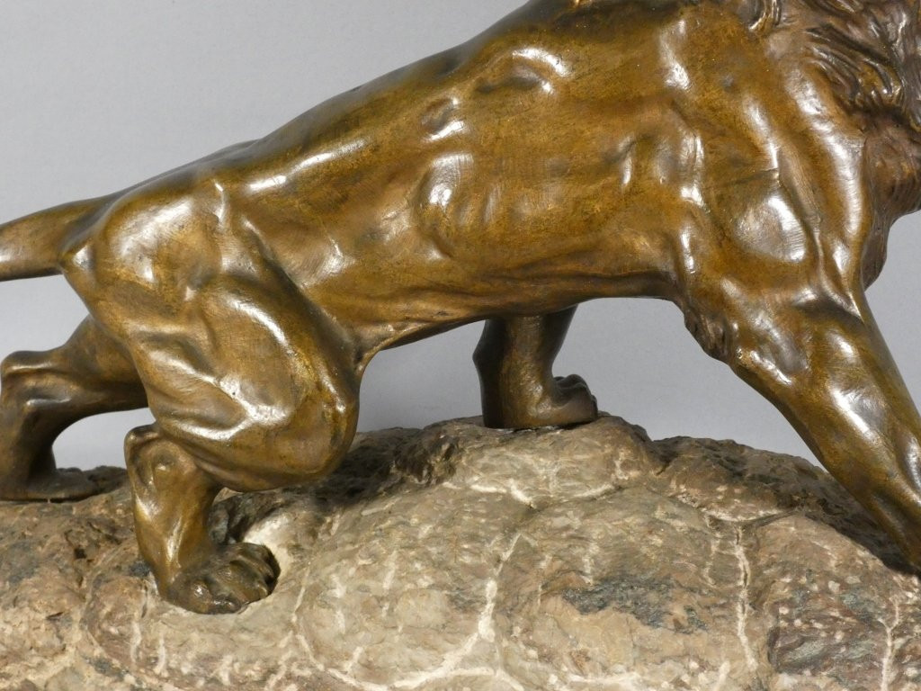 Roaring Lion, Animal Sculpture In Bronze And Pyrenees Marble, By James Andrey-photo-6