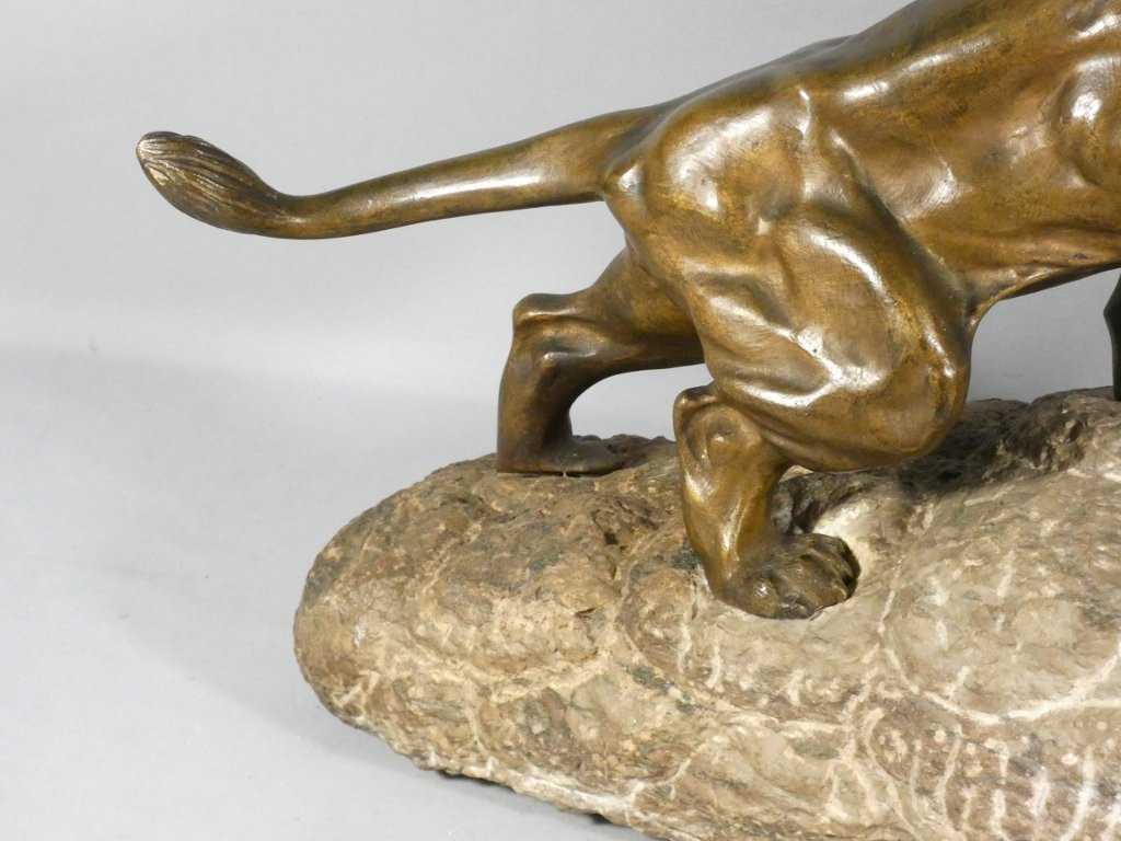 Roaring Lion, Animal Sculpture In Bronze And Pyrenees Marble, By James Andrey-photo-7