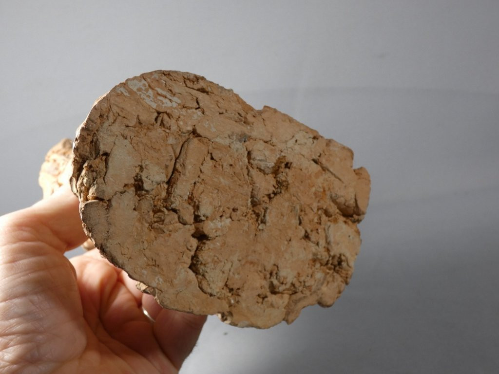 Christ à la colonne, sculpture originale en terre cuite par André Vermare (1869-1949)-photo-7