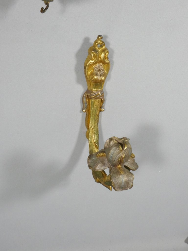 2 paires de porte embrasses de rideaux en bronze doré et argenté aux iris, époque Art Nouveau-photo-3