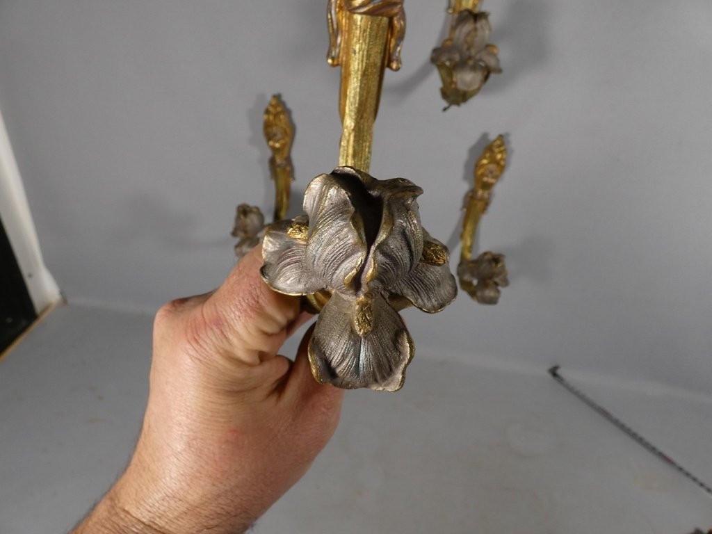 2 paires de porte embrasses de rideaux en bronze doré et argenté aux iris, époque Art Nouveau-photo-1