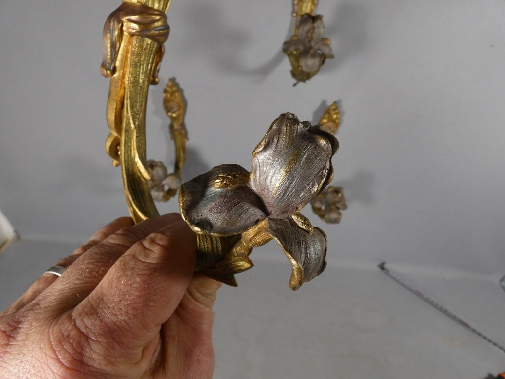 2 paires de porte embrasses de rideaux en bronze doré et argenté aux iris, époque Art Nouveau-photo-2