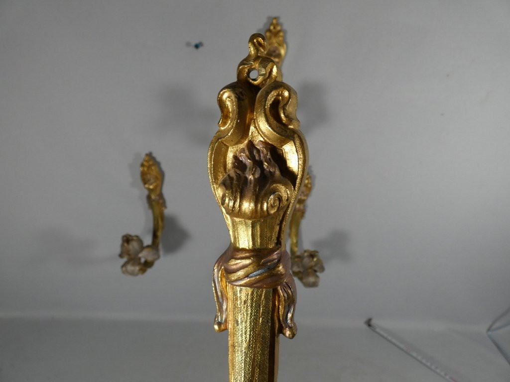 2 paires de porte embrasses de rideaux en bronze doré et argenté aux iris, époque Art Nouveau-photo-3