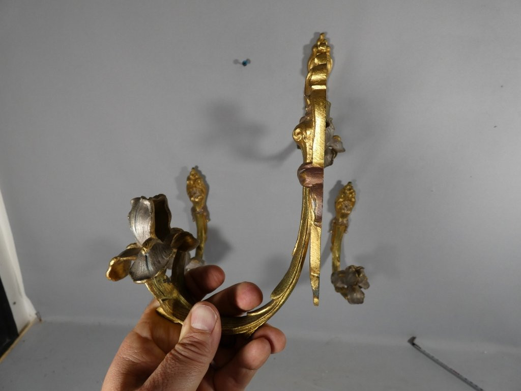 2 paires de porte embrasses de rideaux en bronze doré et argenté aux iris, époque Art Nouveau-photo-4