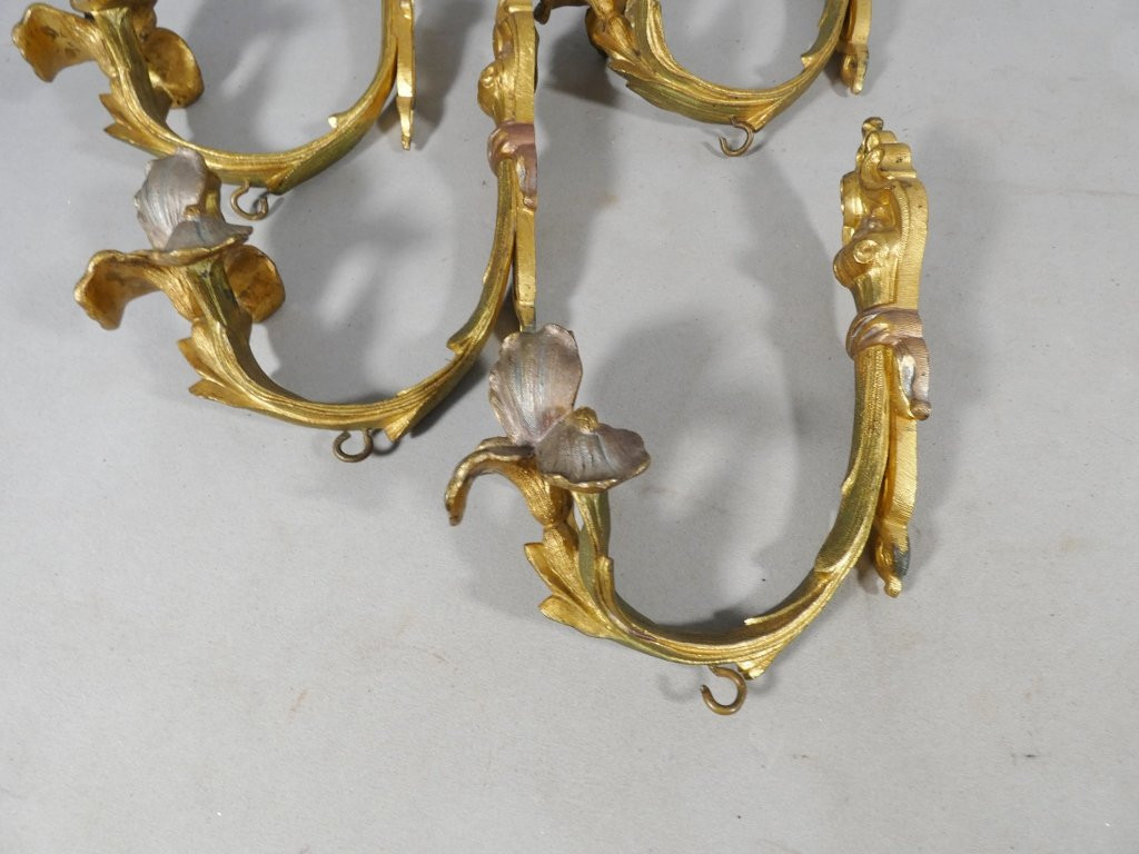 2 paires de porte embrasses de rideaux en bronze doré et argenté aux iris, époque Art Nouveau-photo-7