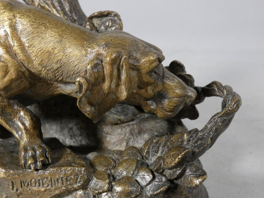 Chien de chasse à l'affût par Moigniez, statuette en bronze animalier, époque XIX ème-photo-5