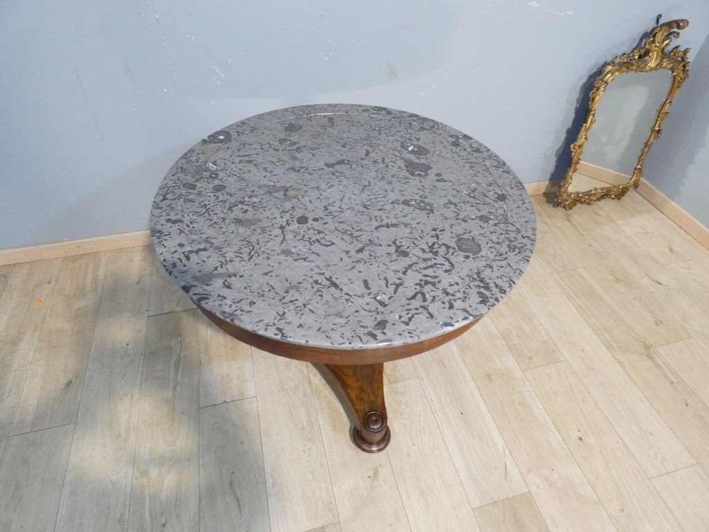 Antique Restoration Side Table In Walnut And Walnut Veneer, With Fossil-bearing Gray Marble – 19th Century -photo-4