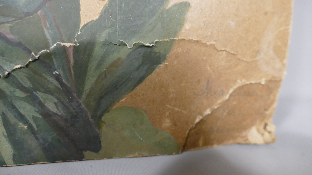 Paire De Gouaches Peintes Aux Fleurs, Signées Et Datées 1900-photo-5