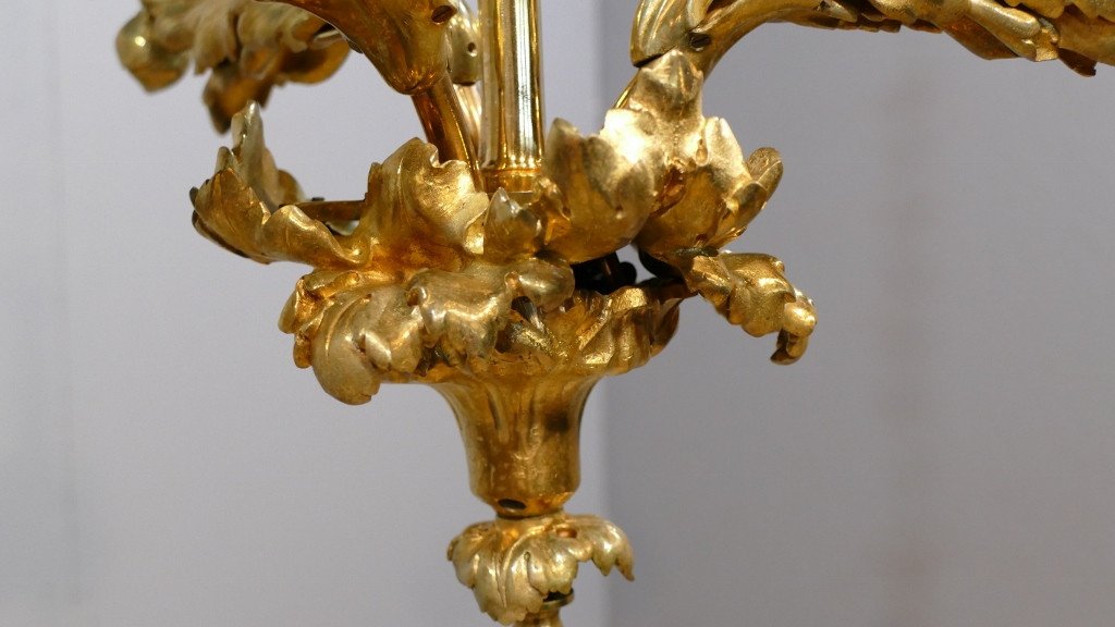 Rose Chandelier In Chiselled Bronze Late XIXth Century, In The Baguès Taste-photo-3