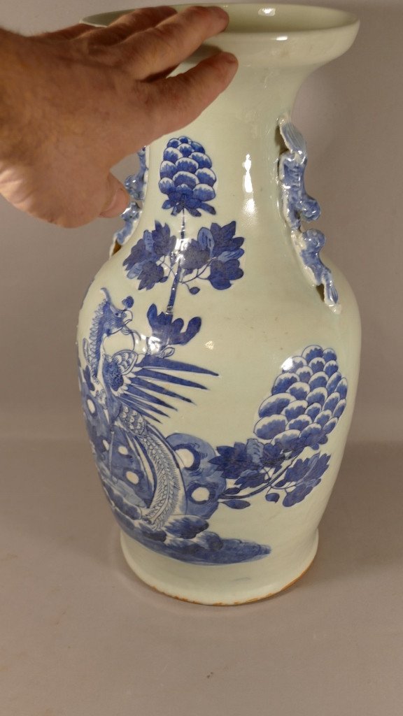 Chinese Vase With Phoenix In Celadon And Blue Porcelain XIXth Century-photo-2