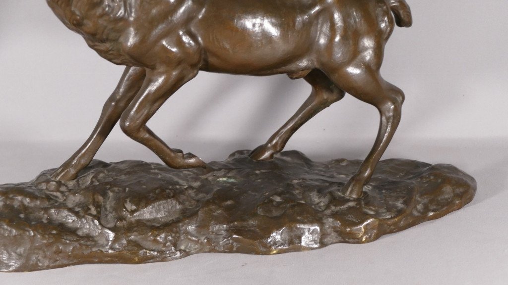 Nino De Fiésole, Bronze Animalier, Cerf Bramant, Sculpture Animalière, Début XX ème-photo-3