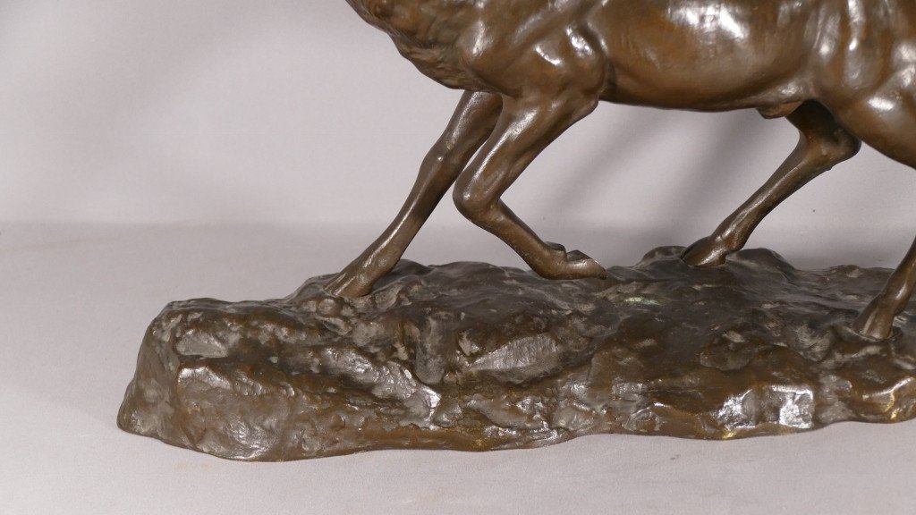 Nino De Fiésole, Bronze Animalier, Cerf Bramant, Sculpture Animalière, Début XX ème-photo-4