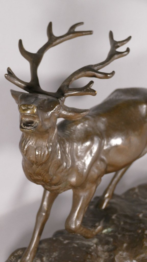 Nino De Fiésole, Bronze Animalier, Cerf Bramant, Sculpture Animalière, Début XX ème-photo-2