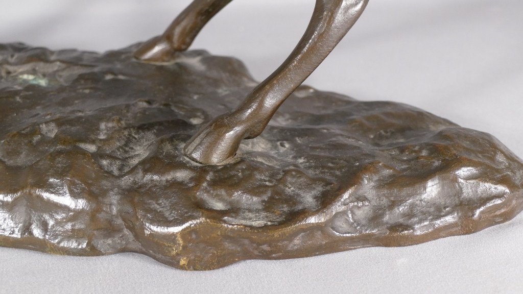 Nino De Fiésole, Bronze Animalier, Cerf Bramant, Sculpture Animalière, Début XX ème-photo-4
