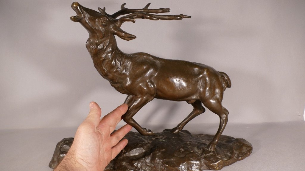 Nino De Fiésole, Bronze Animalier, Cerf Bramant, Sculpture Animalière, Début XX ème-photo-6