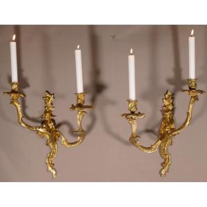 Pair Of Louis XV Style Chinese Sconces In Gilt Bronze, XIXth Time