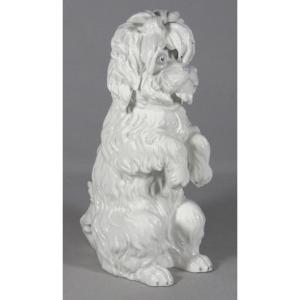 Chien Bichon frisé, statuette en porcelaine allemande Gebrüder Heubach marque bleue 1882-1915