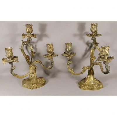 Pair Of Asymmetrical Rocaille Candlesticks With 3 Branches, Gilt Bronze XIX