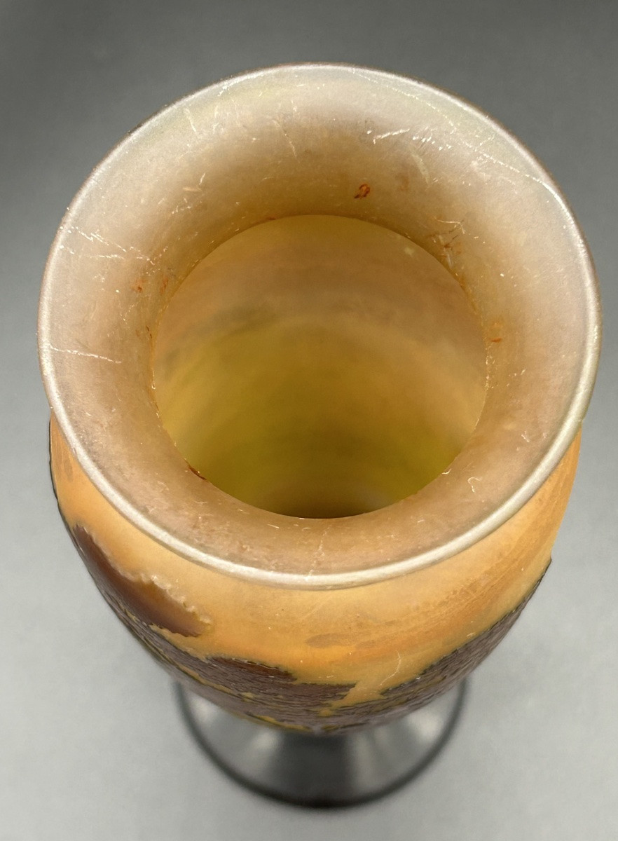 Vase Émile Gallé -photo-6