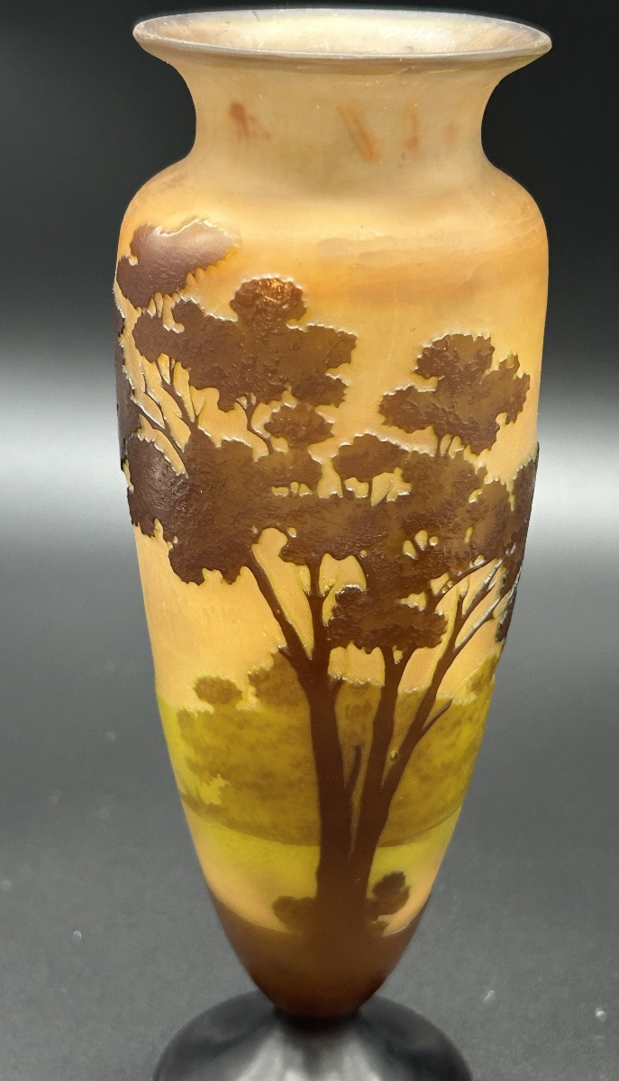 Vase Émile Gallé -photo-8