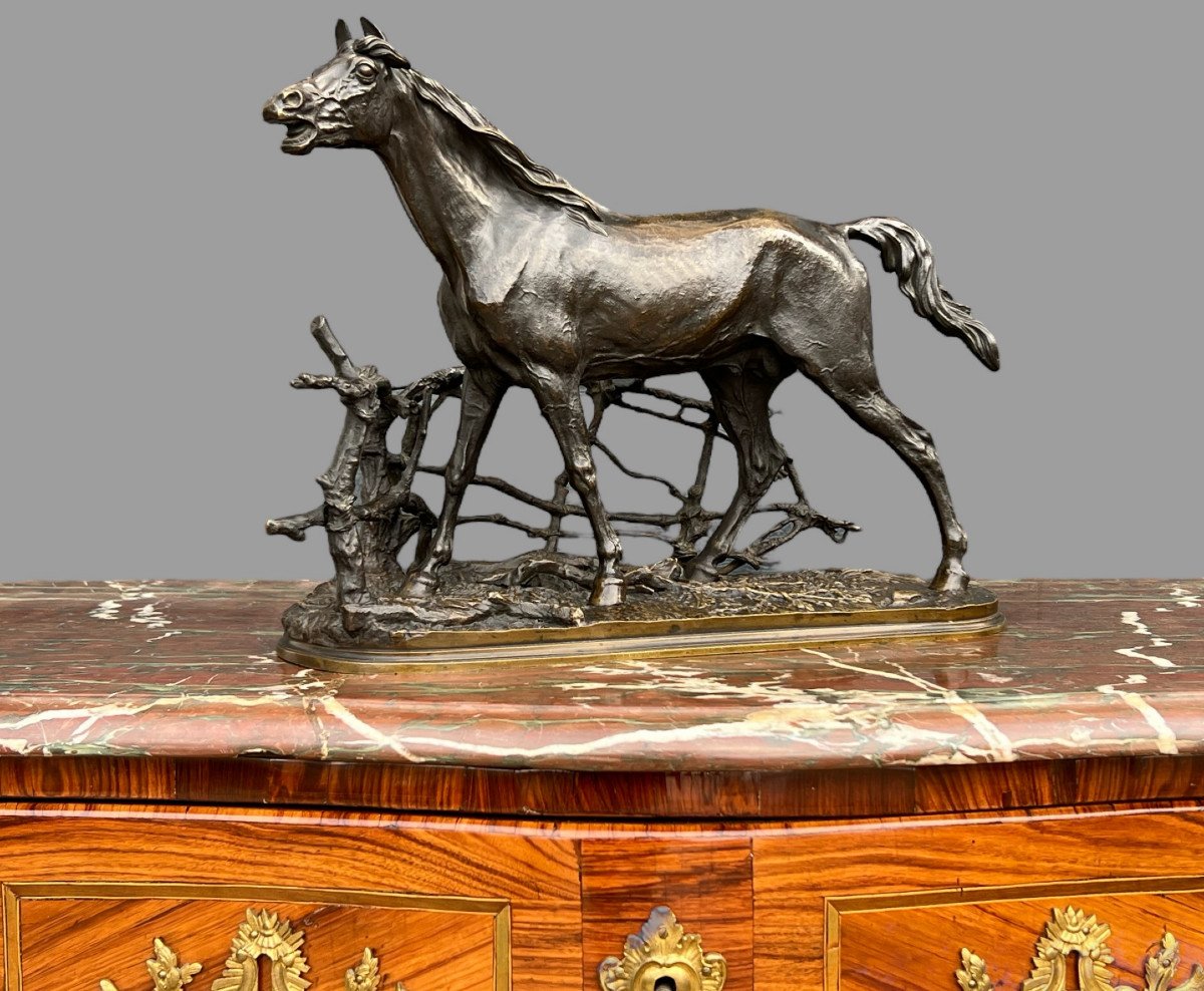 Pierre Jules Mêne Bronze Sculpture "horse At The Barrier Djinn Stallion Beard-photo-3