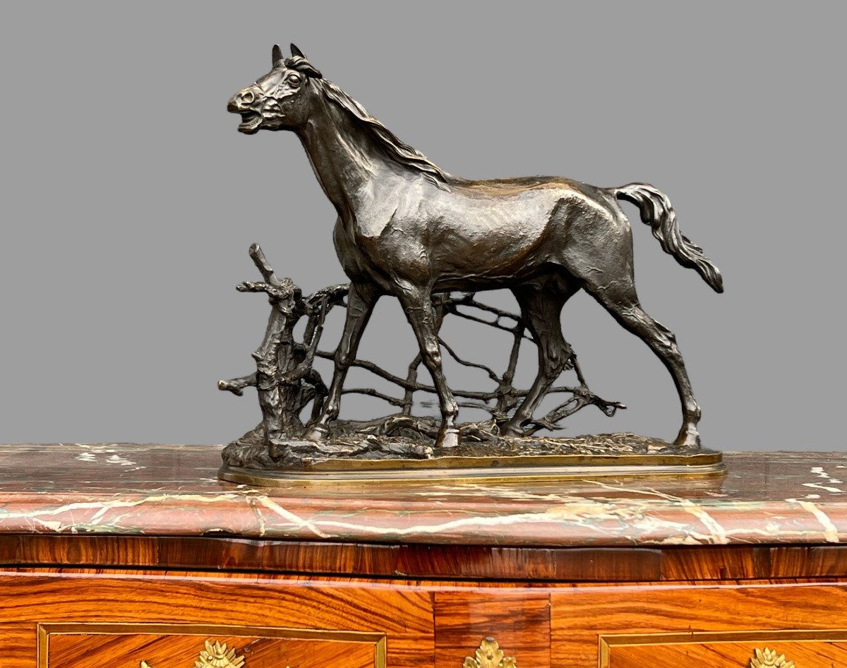 Pierre Jules Mêne Bronze Sculpture "horse At The Barrier Djinn Stallion Beard-photo-4