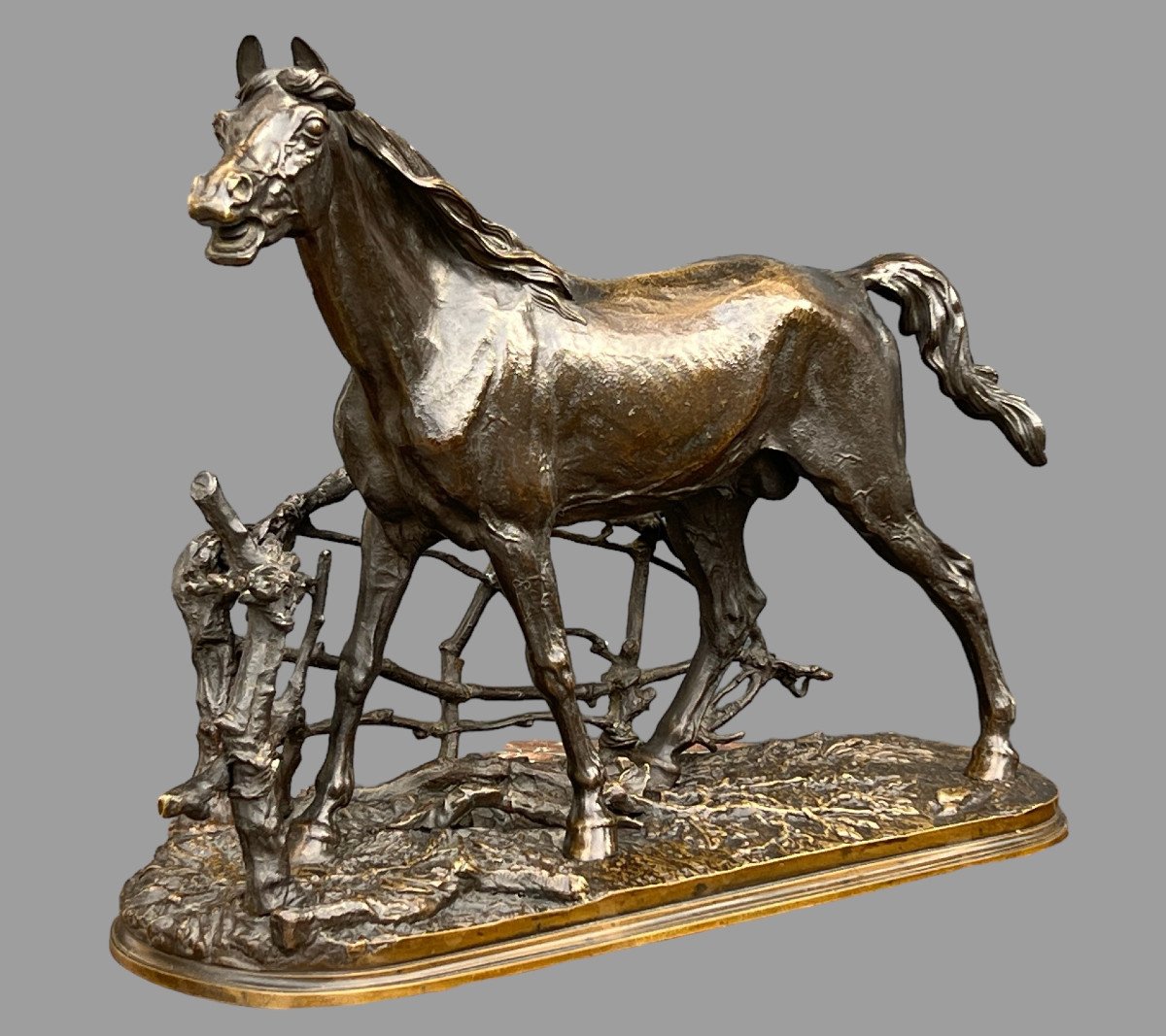 Pierre Jules Mêne Bronze Sculpture "horse At The Barrier Djinn Stallion Beard-photo-4