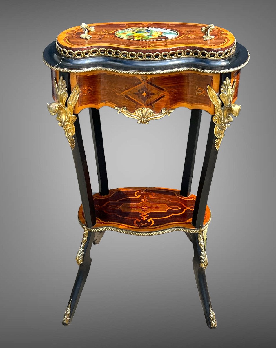 Napoleon III Period Jardinniere In Marquetry And Blackened Wood Decorated With Bronze-photo-3