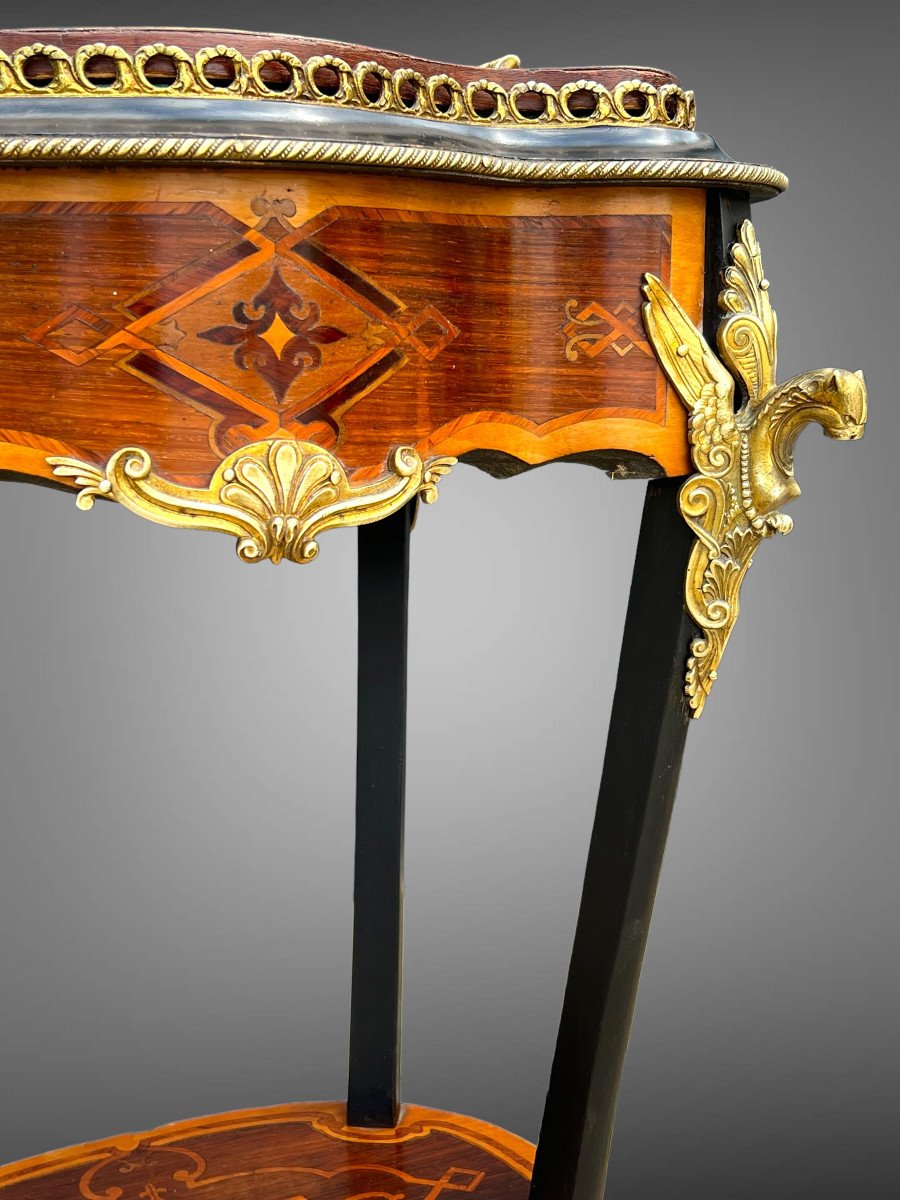 Napoleon III Period Jardinniere In Marquetry And Blackened Wood Decorated With Bronze-photo-7