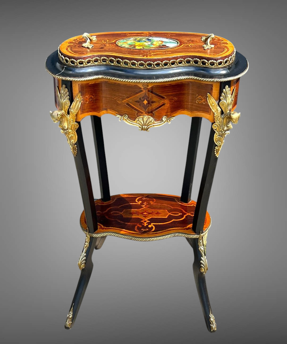 Jardiniere époque Napoléon III En Marqueterie Et Bois Noirci Ornée De Bronze