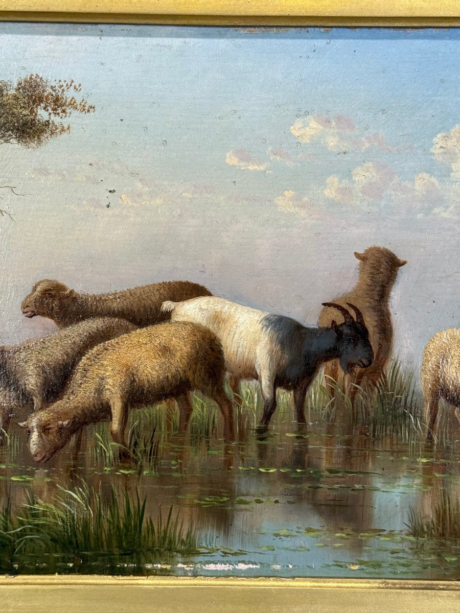 Painting / 19th Century / Oil On Wood Panel Depicting Sheep-photo-3