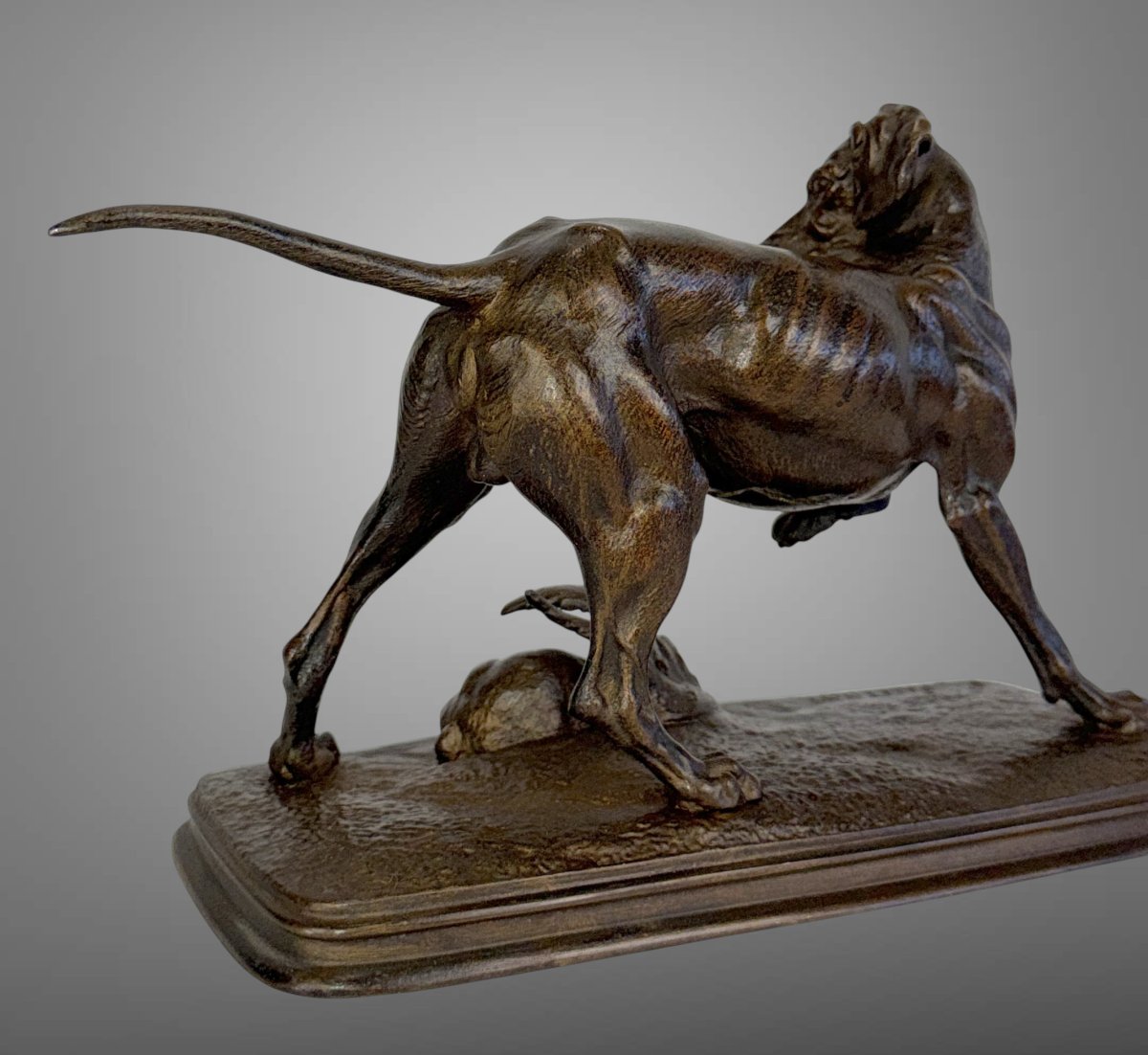 19th Century Bronze Sculpture By Ferdinand Pautrot Depicting A Hunting Dog At Rest-photo-5