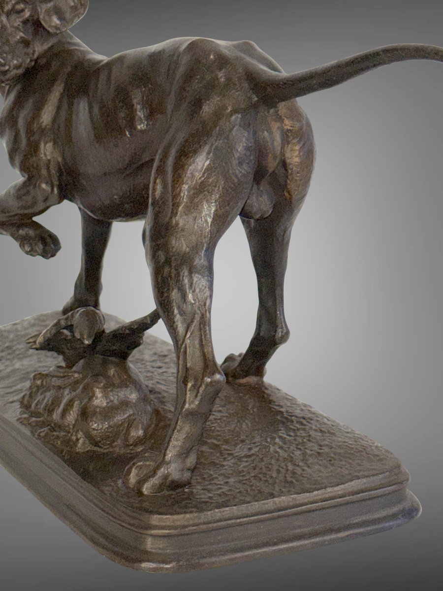 19th Century Bronze Sculpture By Ferdinand Pautrot Depicting A Hunting Dog At Rest-photo-7