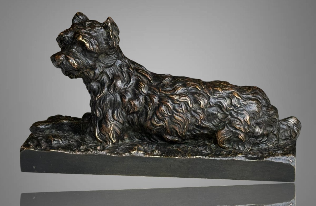 Griffon-photo-3