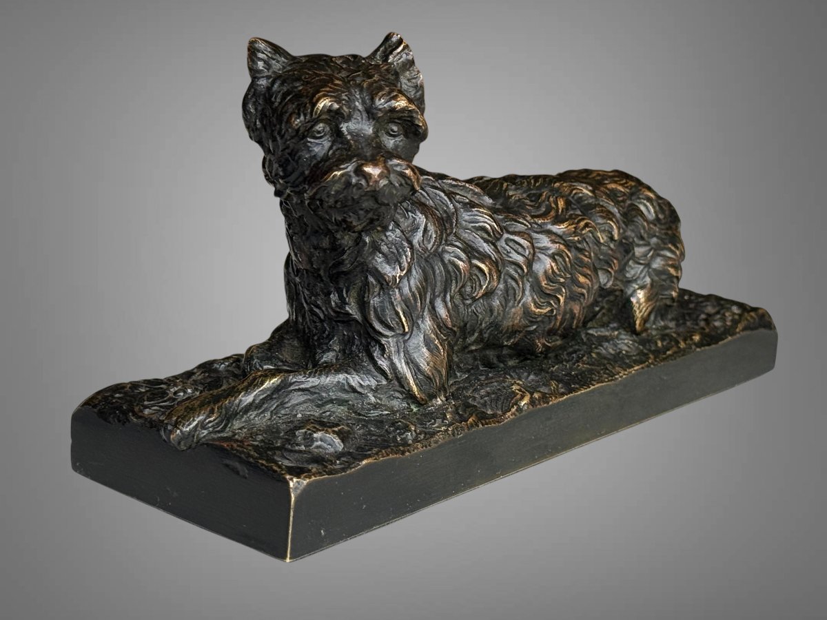Griffon-photo-1
