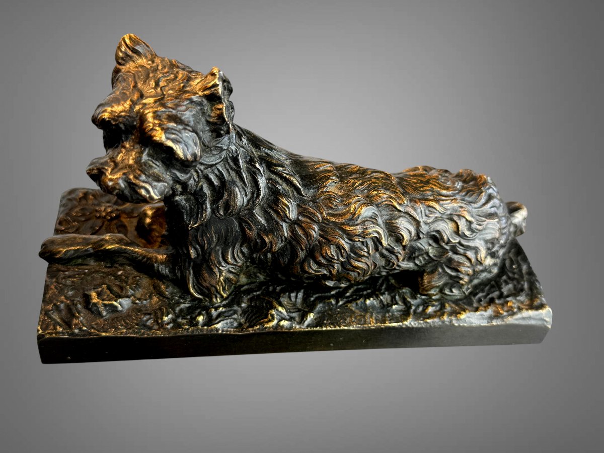 Griffon-photo-3