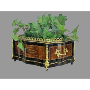 Napoleon III Period Planter In Marquetry Decorated With Gilt Bronze And Its Tray