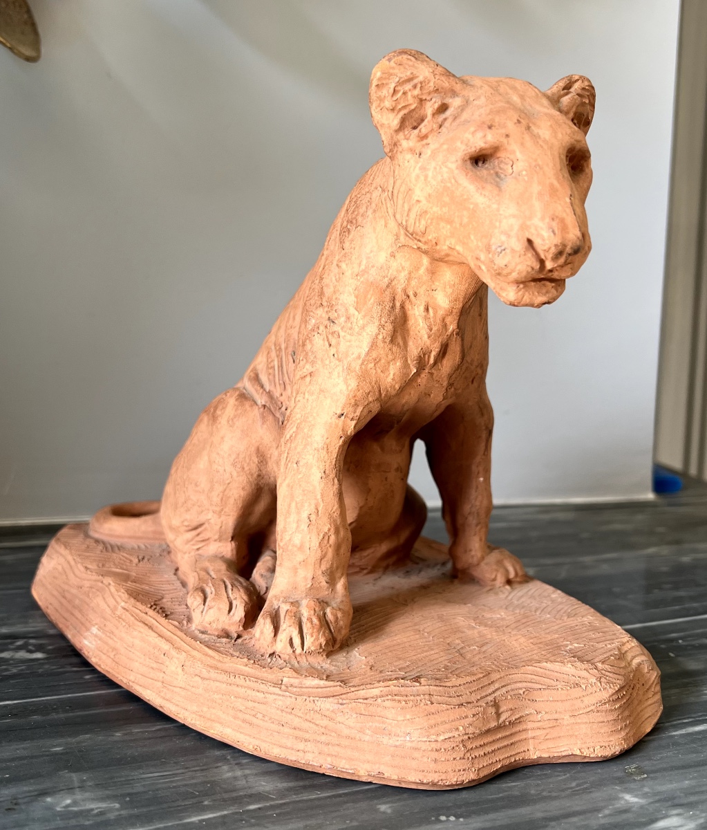 Roger Godchaux, Sitting Lion Cub, Animalier Sculpture In Terracotta By Susse Frères.-photo-2