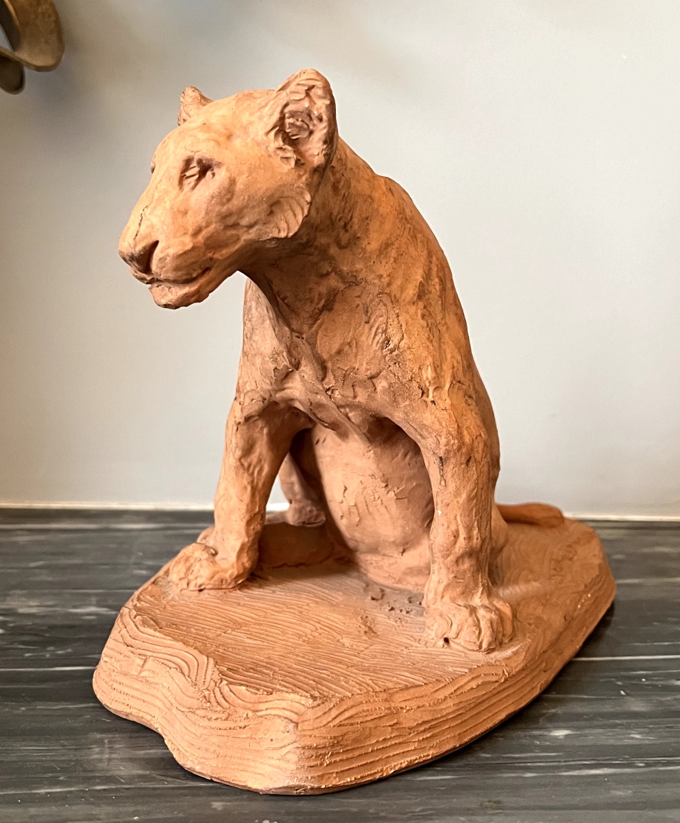 Roger Godchaux, Sitting Lion Cub, Animalier Sculpture In Terracotta By Susse Frères.-photo-3