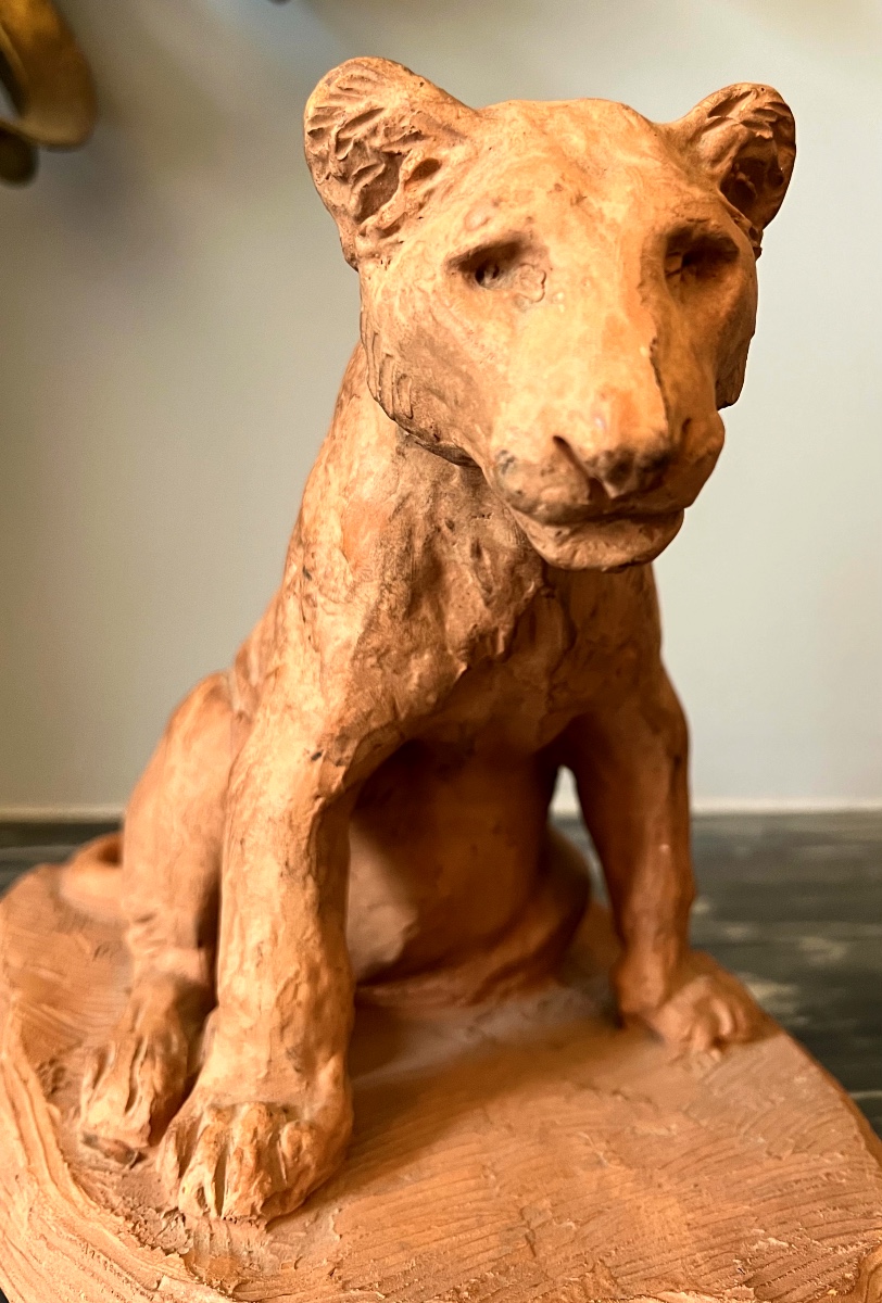 Roger Godchaux, Sitting Lion Cub, Animalier Sculpture In Terracotta By Susse Frères.-photo-6