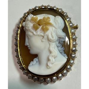 Large Gold Brooch,agate Cameo.19th