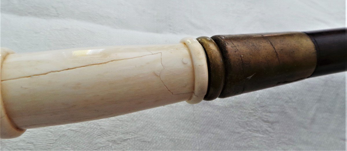 Cane With Pommeau - Firm Hand Holding A Roll - XIX°-photo-3