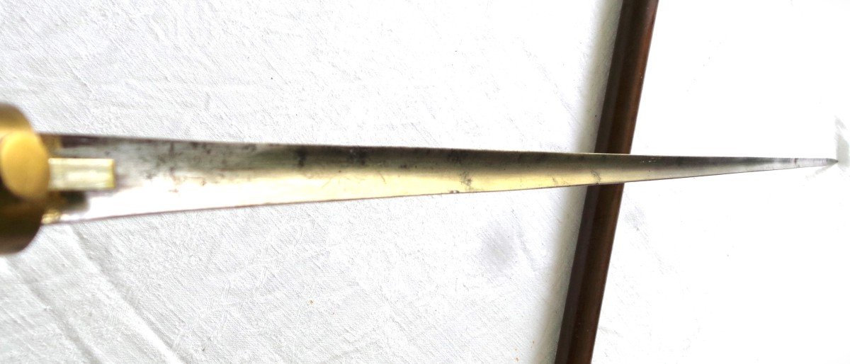 Cane With System - Sword With Triangular Blade - 19th Century-photo-2