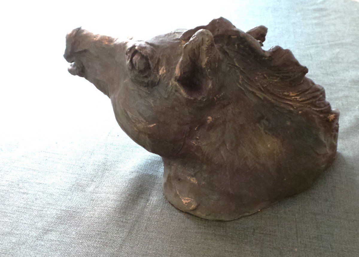 Horse's Head At A Gallot - Terracotta With Bronze Patina - Ph-j.darondeau - Retais Sculptor-photo-2